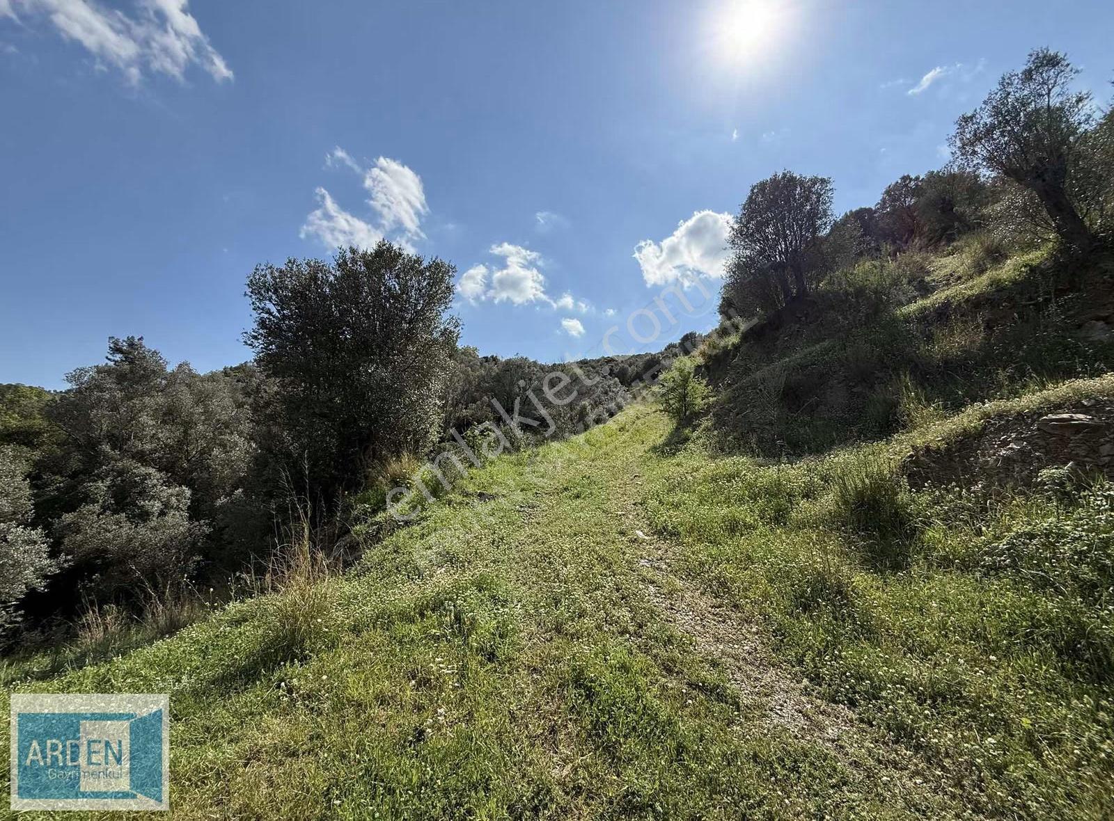 İzmir, S.hisar Ulamış'ta,13.000 M², 400 Ağaçlı,35 Mt Yol Cepheli - Görsel 3