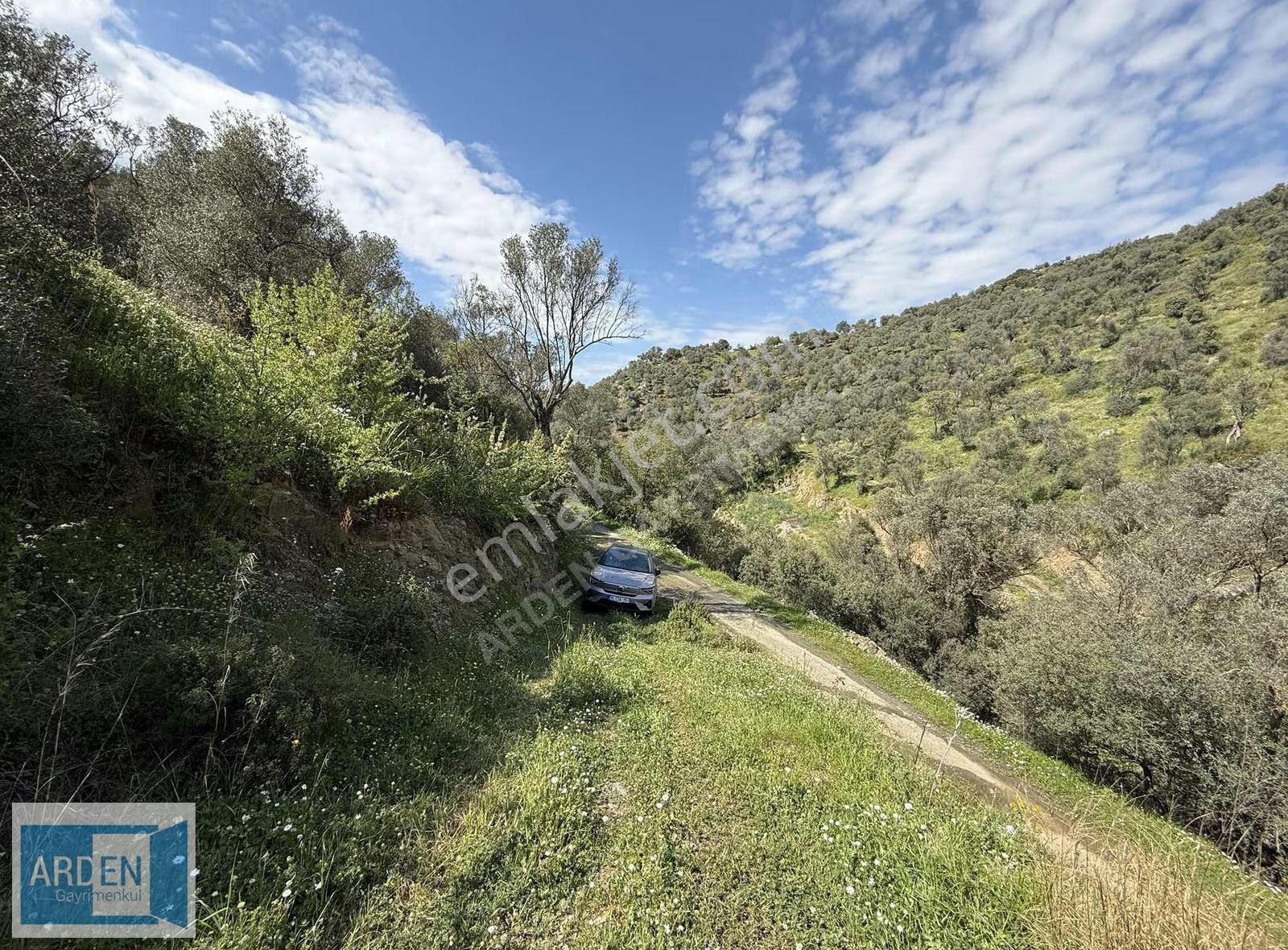 İzmir, S.hisar Ulamış'ta,13.000 M², 400 Ağaçlı,35 Mt Yol Cepheli - Görsel 10