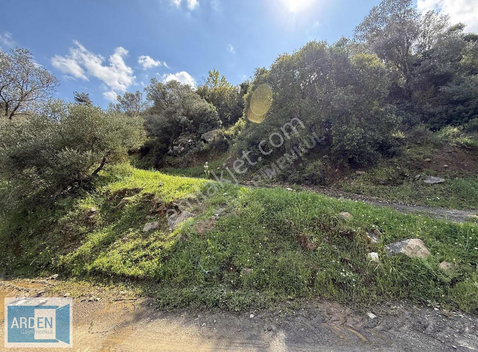İzmir, S.hisar Ulamış'ta,13.000 M², 400 Ağaçlı,35 Mt Yol Cepheli