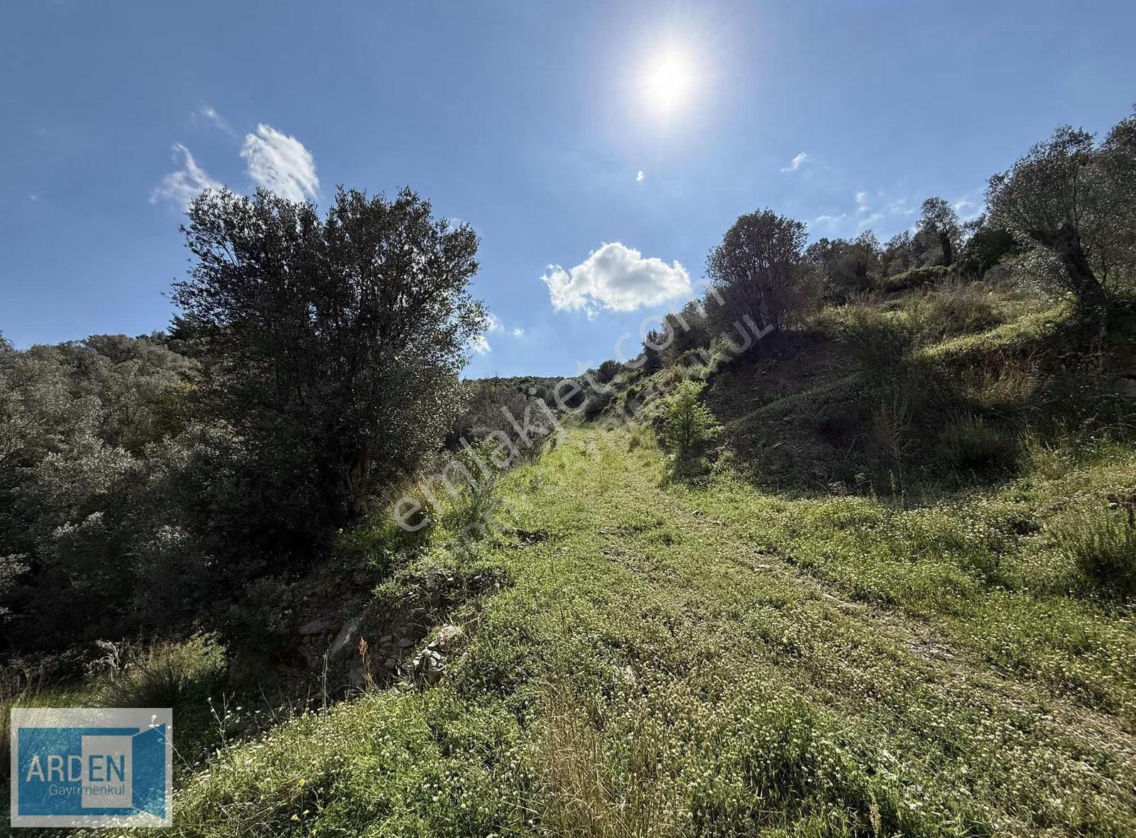 İzmir, S.hisar Ulamış'ta,13.000 M², 400 Ağaçlı,35 Mt Yol Cepheli - Görsel 9