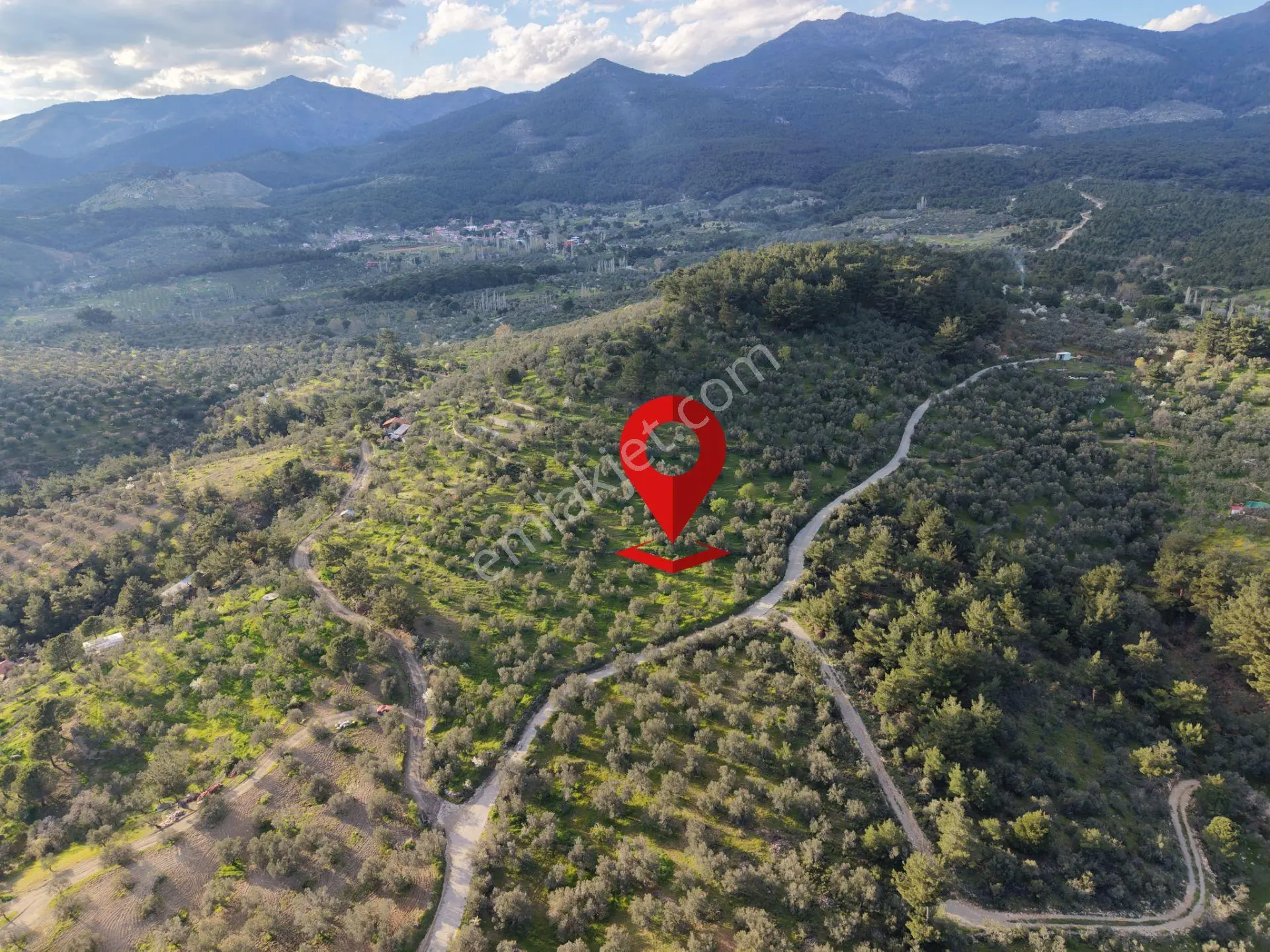▀▄mera Emlak Hacıarslanlar Köyü Müstakil T. 23.771m2 Zeytinlik