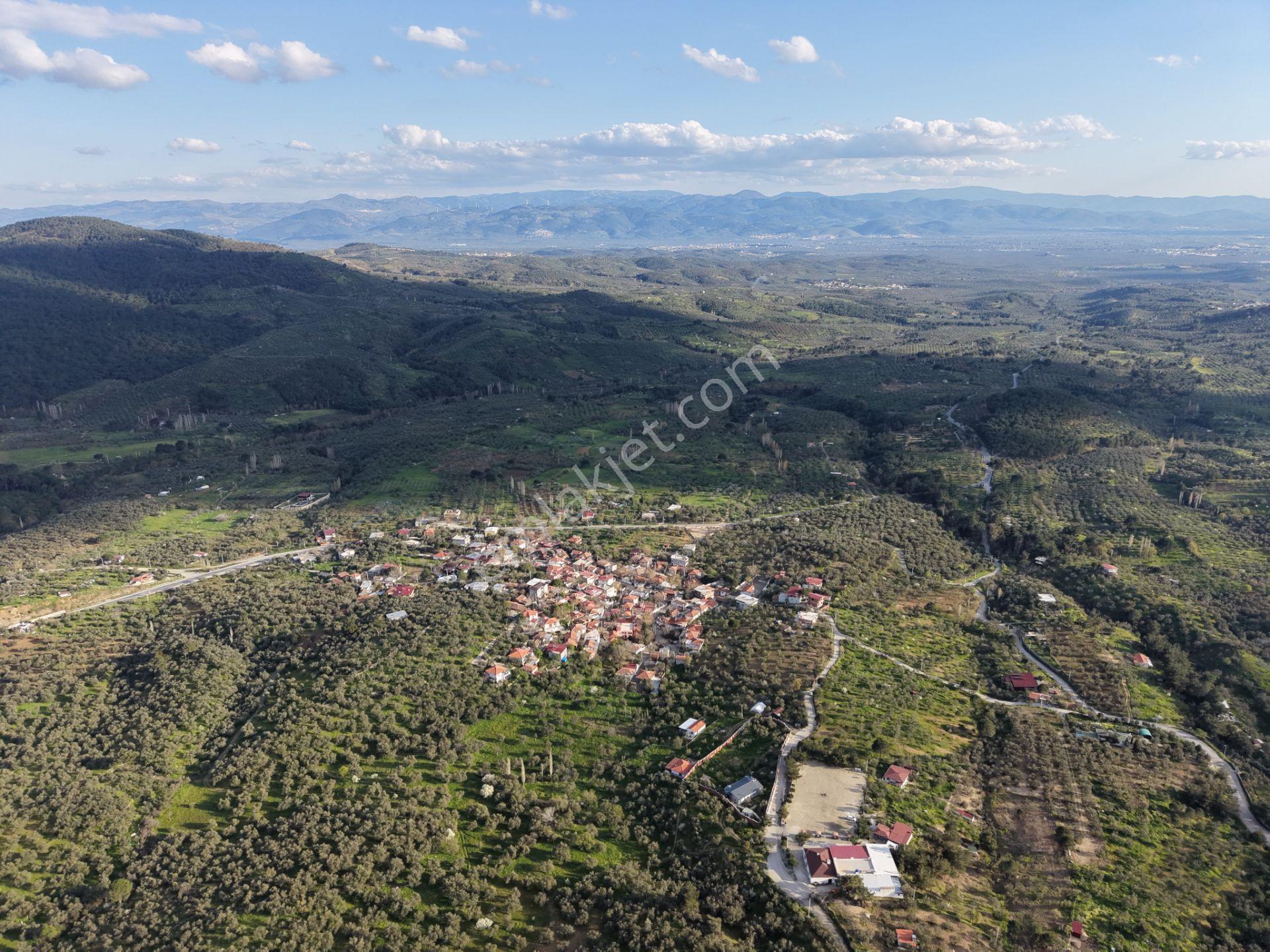 ▀▄mera Emlak Hacıarslanlar Köyü Müstakil T. 23.771m2 Zeytinlik - Görsel 10