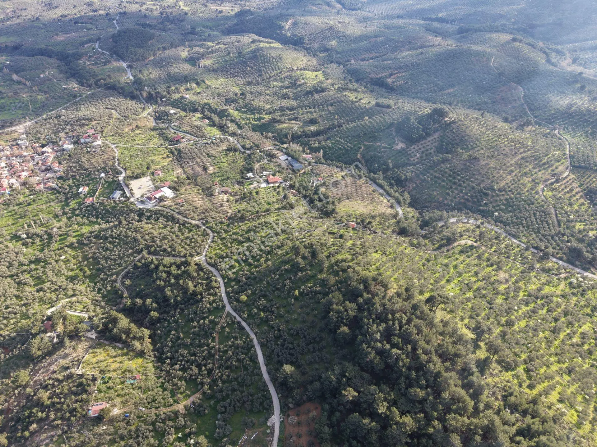 ▀▄mera Emlak Hacıarslanlar Köyü Müstakil T. 23.771m2 Zeytinlik - Görsel 5