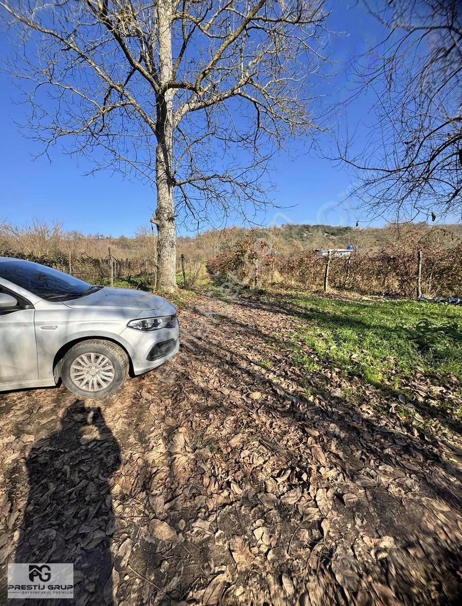 Prestij Grup'tan Kestel Kozlu Ören'de Hobi Bahçesi - Görsel 7