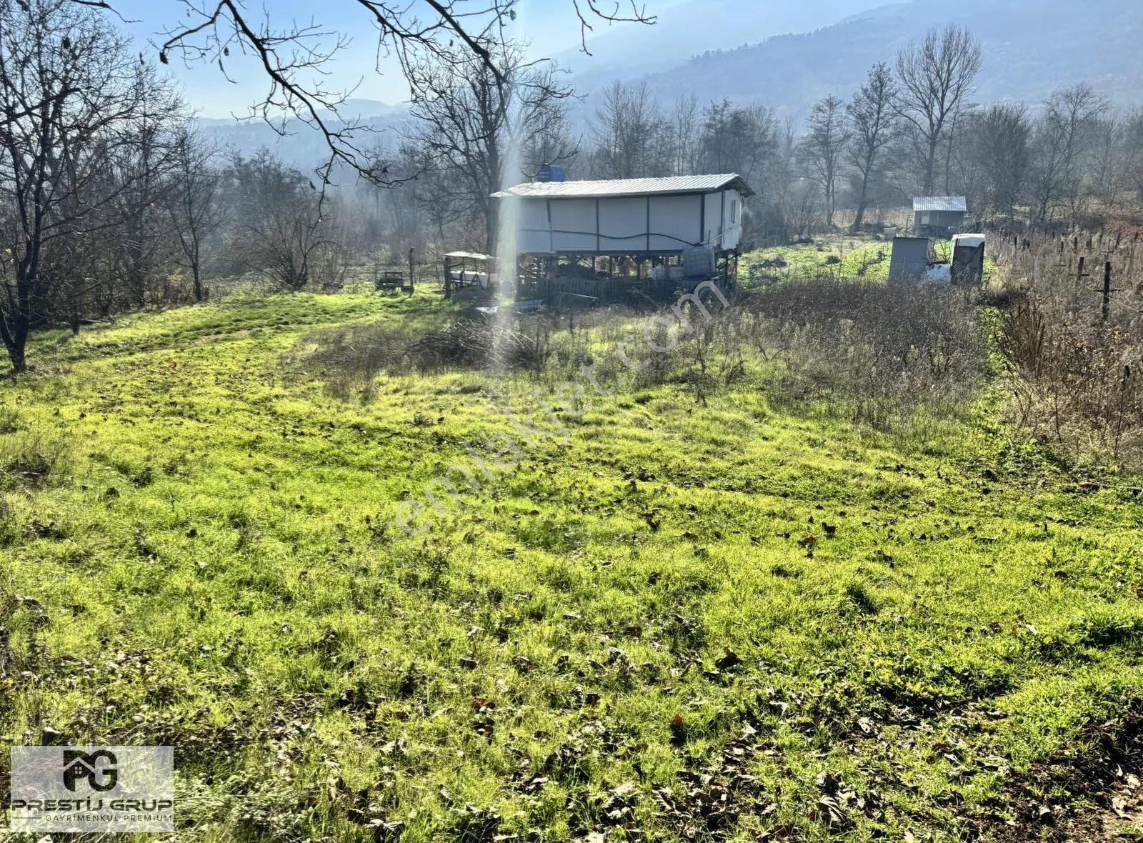 Prestij Grup'tan Kestel Kozlu Ören'de Hobi Bahçesi - Görsel 12
