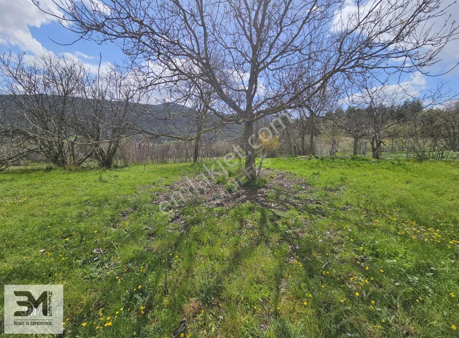 Geyve'de 1896 M² Müstakil Tapulu Bağ & Bahçe Arsası - Fırsat! - Görsel 19