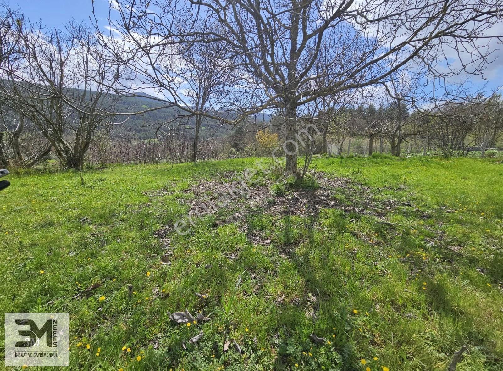 Geyve'de 1896 M² Müstakil Tapulu Bağ & Bahçe Arsası - Fırsat! - Görsel 26