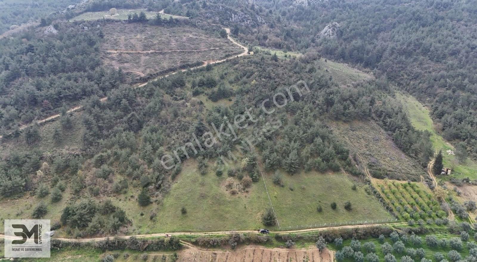 Sakarya Geyve'de Satılık 6513 M² Manzaralı Arsa - Görsel 2