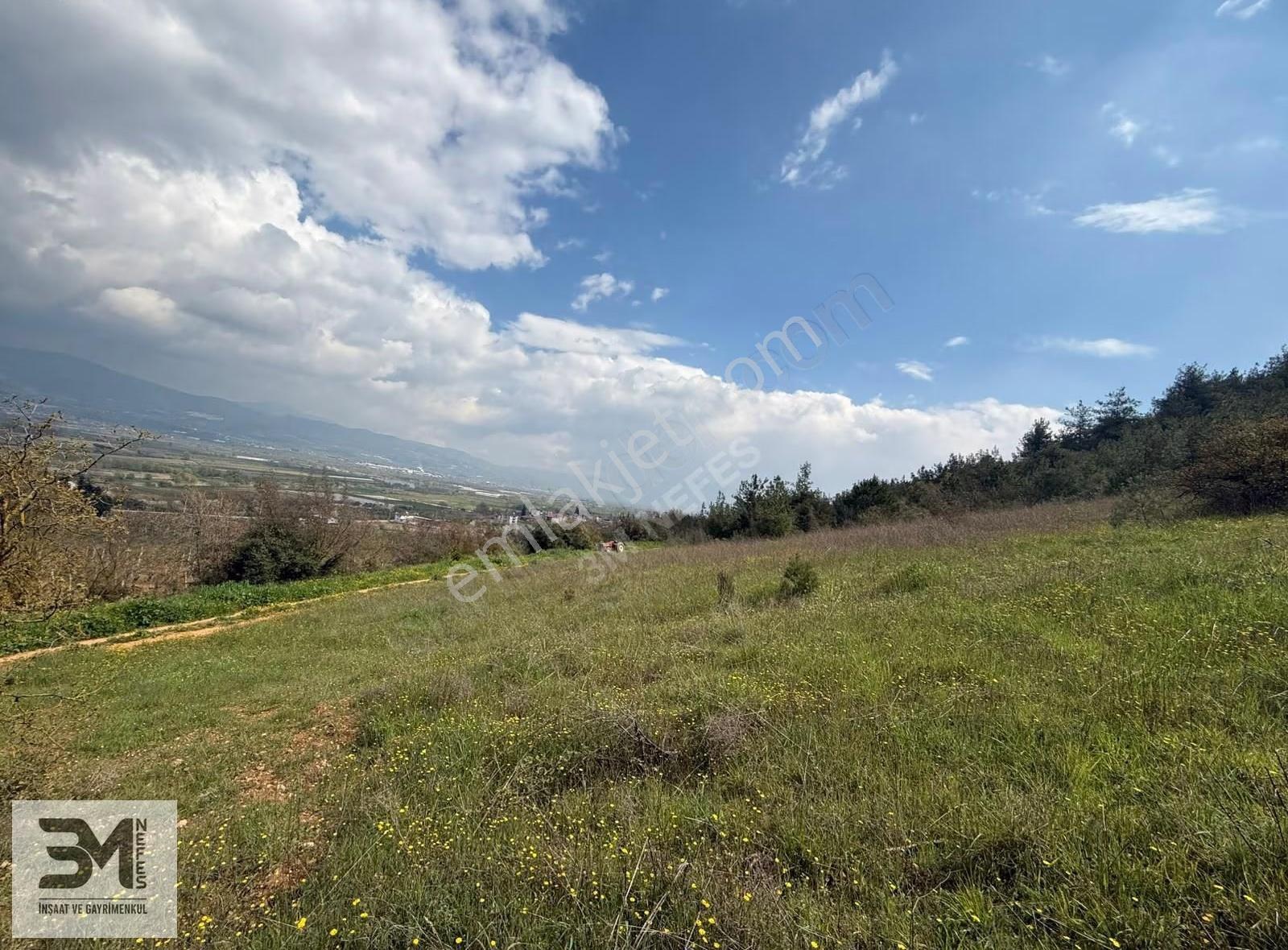 Sakarya Geyve'de Satılık 6513 M² Manzaralı Arsa - Görsel 20