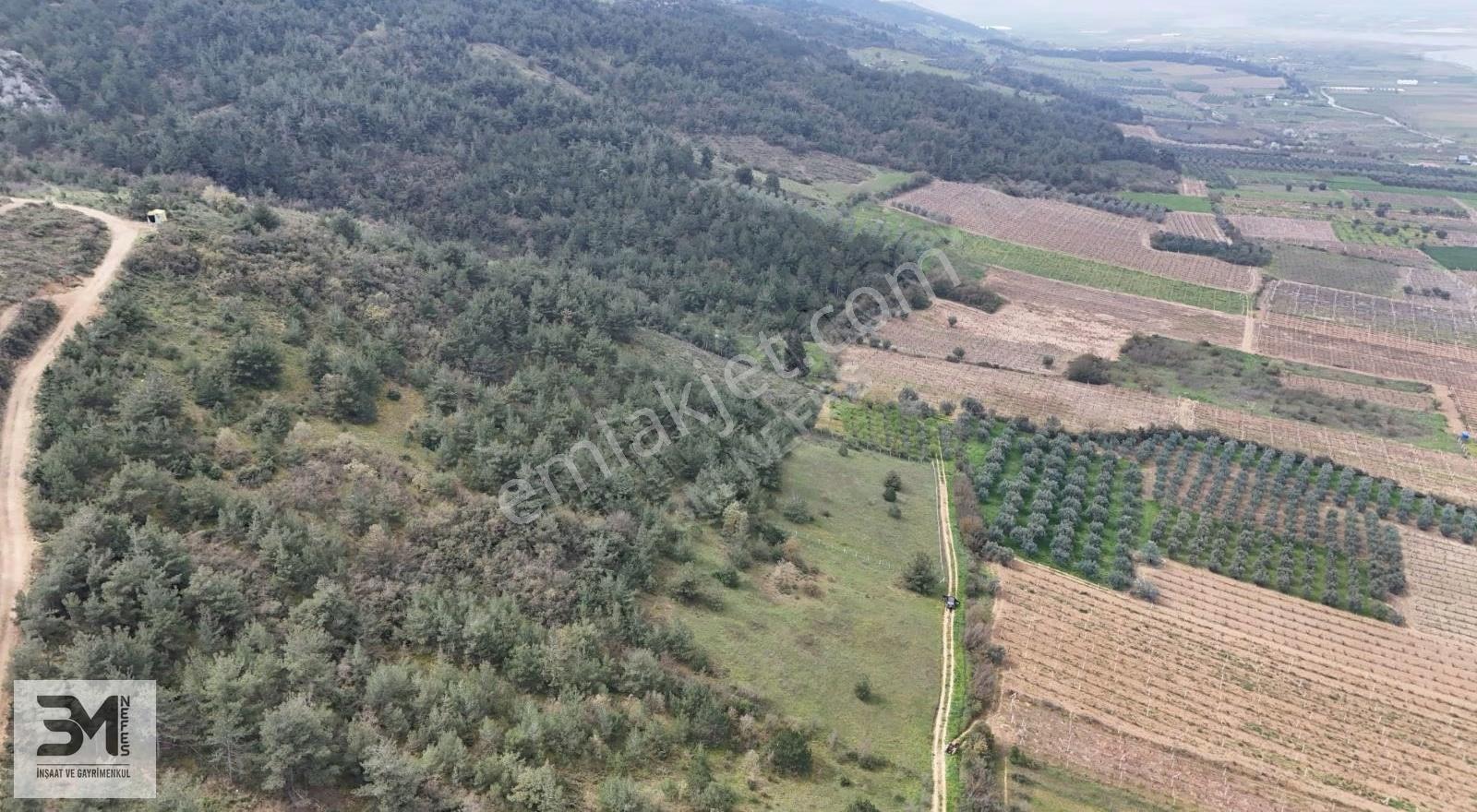 Sakarya Geyve'de Satılık 6513 M² Manzaralı Arsa - Görsel 14