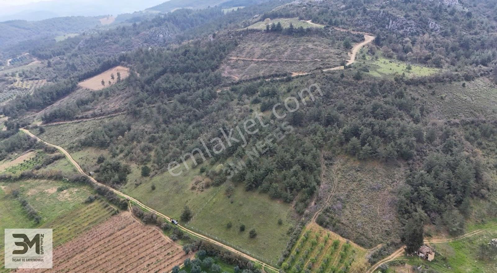 Sakarya Geyve'de Satılık 6513 M² Manzaralı Arsa - Görsel 30