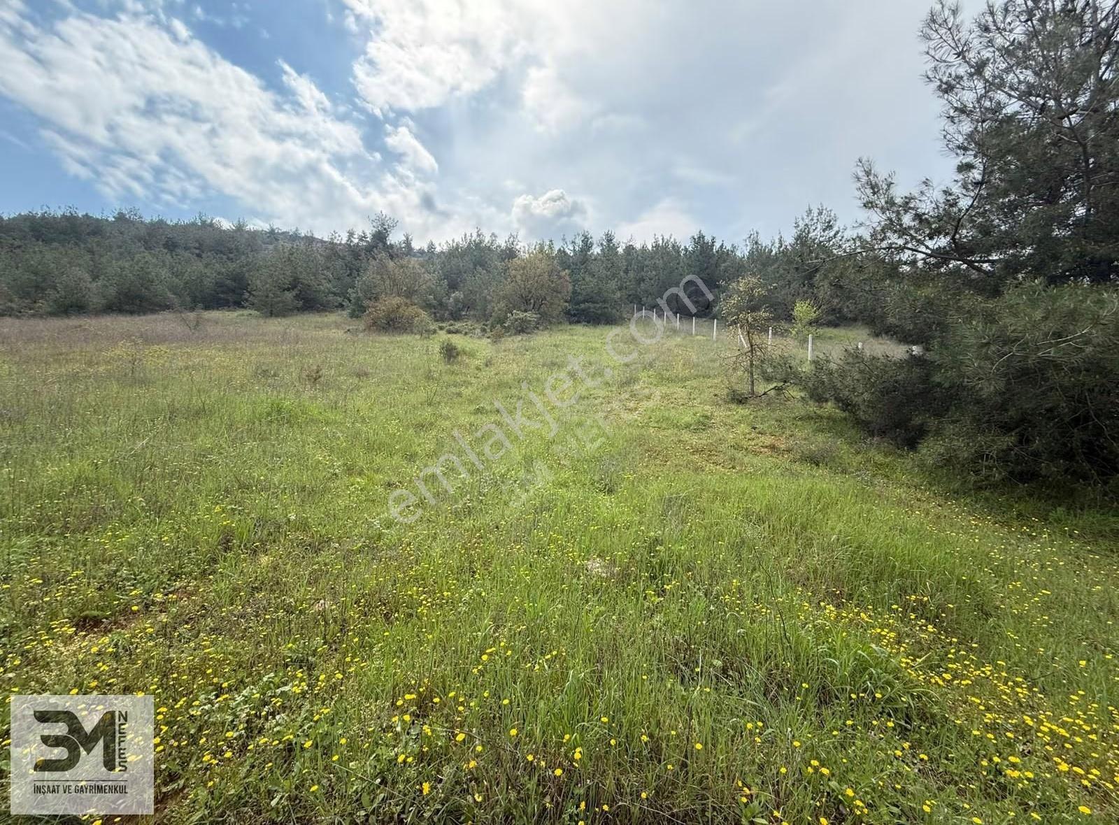 Sakarya Geyve'de Satılık 6513 M² Manzaralı Arsa