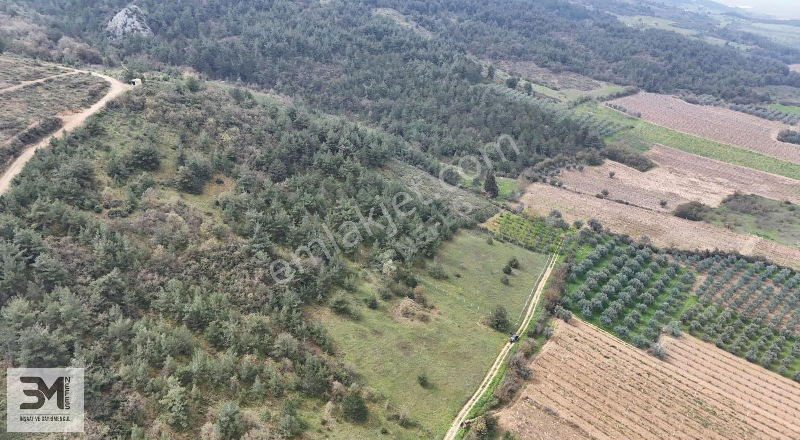Sakarya Geyve'de Satılık 6513 M² Manzaralı Arsa - Görsel 13
