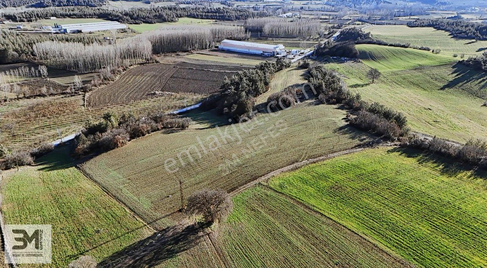 Sakarya Taraklı Mahdumlar 20.085m² Tavuk Çiftliği Arazisi Fırsat - Görsel 13