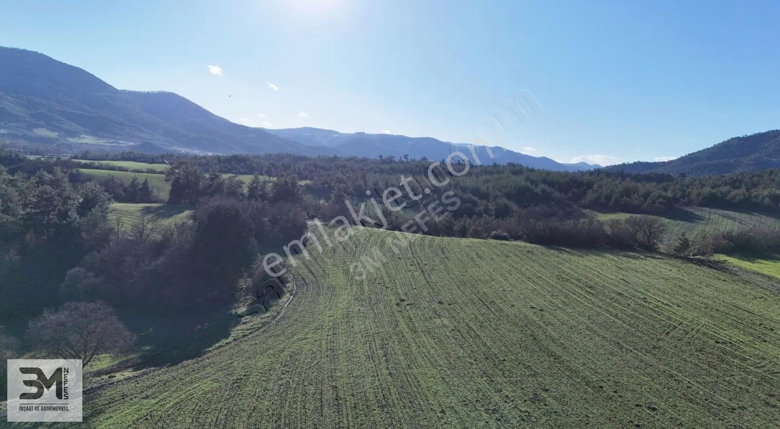 Sakarya Taraklı Mahdumlar 20.085m² Tavuk Çiftliği Arazisi Fırsat - Görsel 4