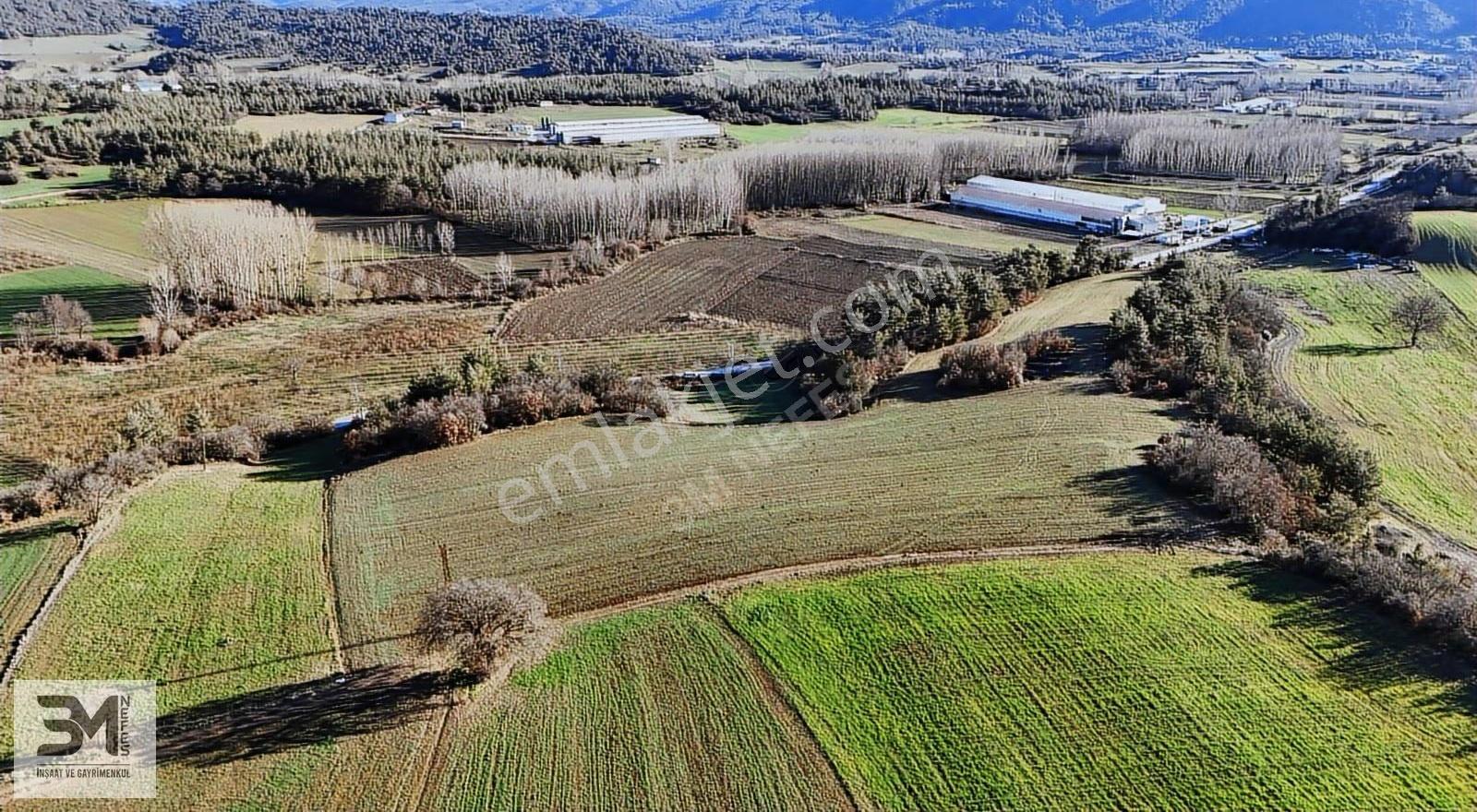 Sakarya Taraklı Mahdumlar 20.085m² Tavuk Çiftliği Arazisi Fırsat - Görsel 26