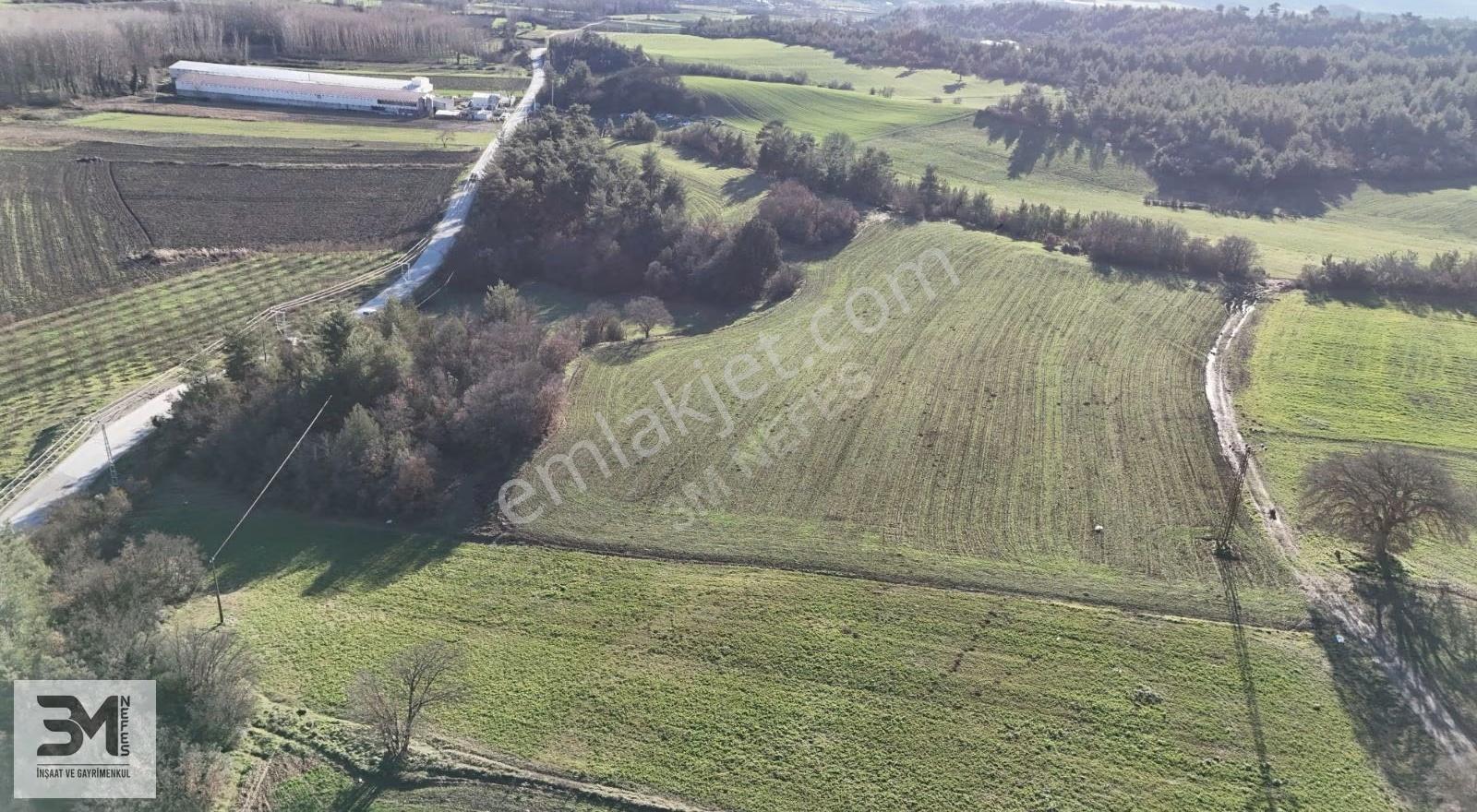 Sakarya Taraklı Mahdumlar 20.085m² Tavuk Çiftliği Arazisi Fırsat - Görsel 18