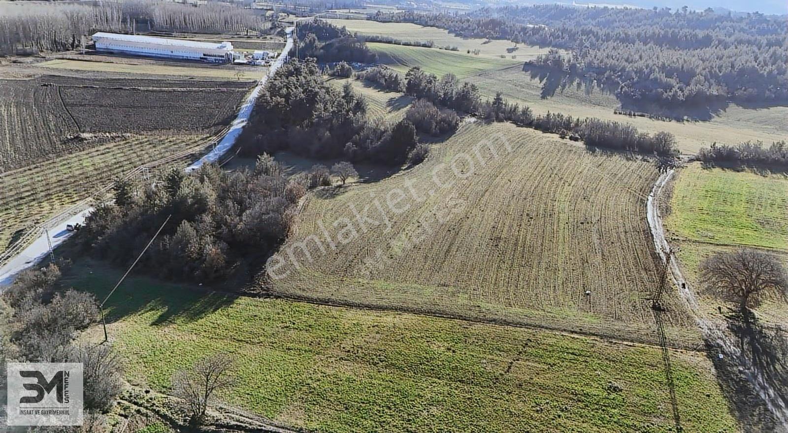 Sakarya Taraklı Mahdumlar 20.085m² Tavuk Çiftliği Arazisi Fırsat - Görsel 28