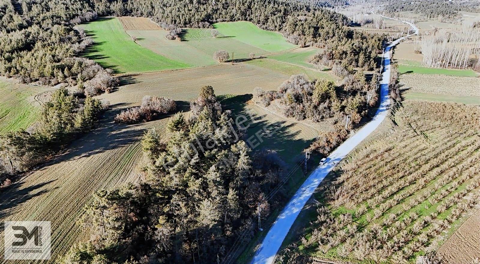Sakarya Taraklı Mahdumlar 20.085m² Tavuk Çiftliği Arazisi Fırsat - Görsel 23