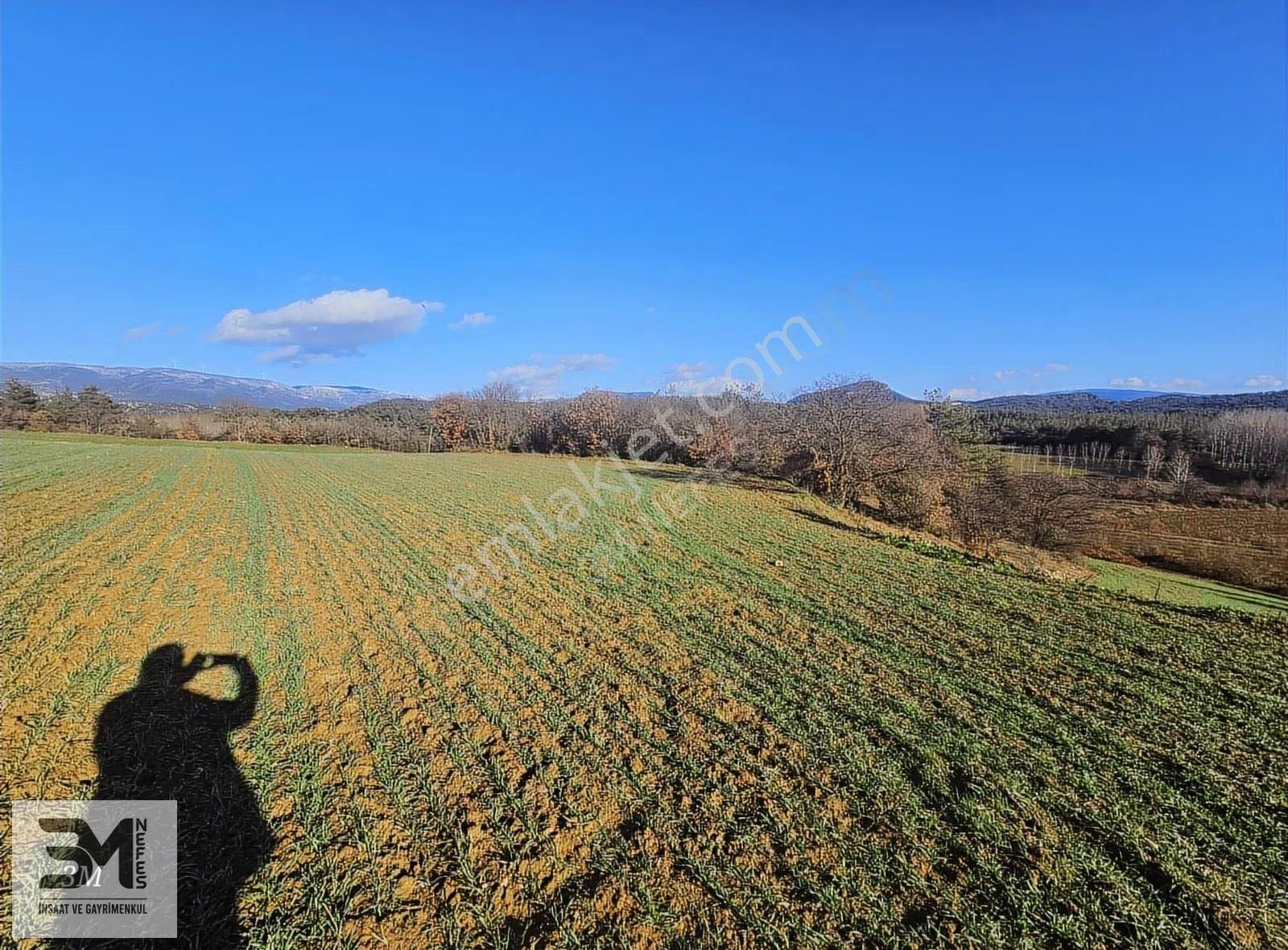 Sakarya Taraklı Mahdumlar 20.085m² Tavuk Çiftliği Arazisi Fırsat - Görsel 34