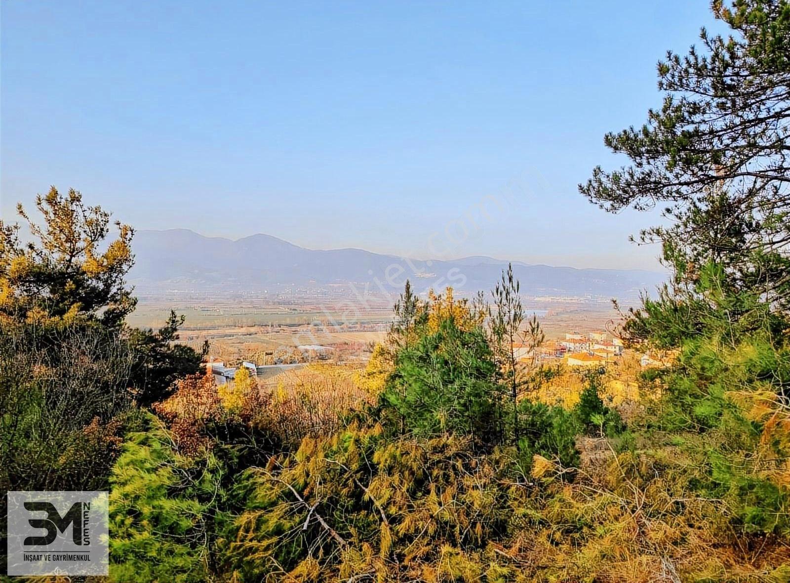 Sakarya Geyve Nehir Manzaralı 1957 M2 Yatırımlık Fırsat Arsa - Görsel 20