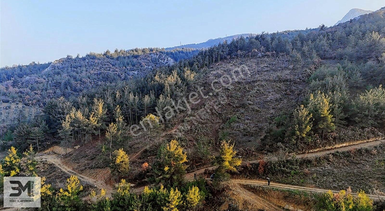 Sakarya Geyve Nehir Manzaralı 1957 M2 Yatırımlık Fırsat Arsa - Görsel 10
