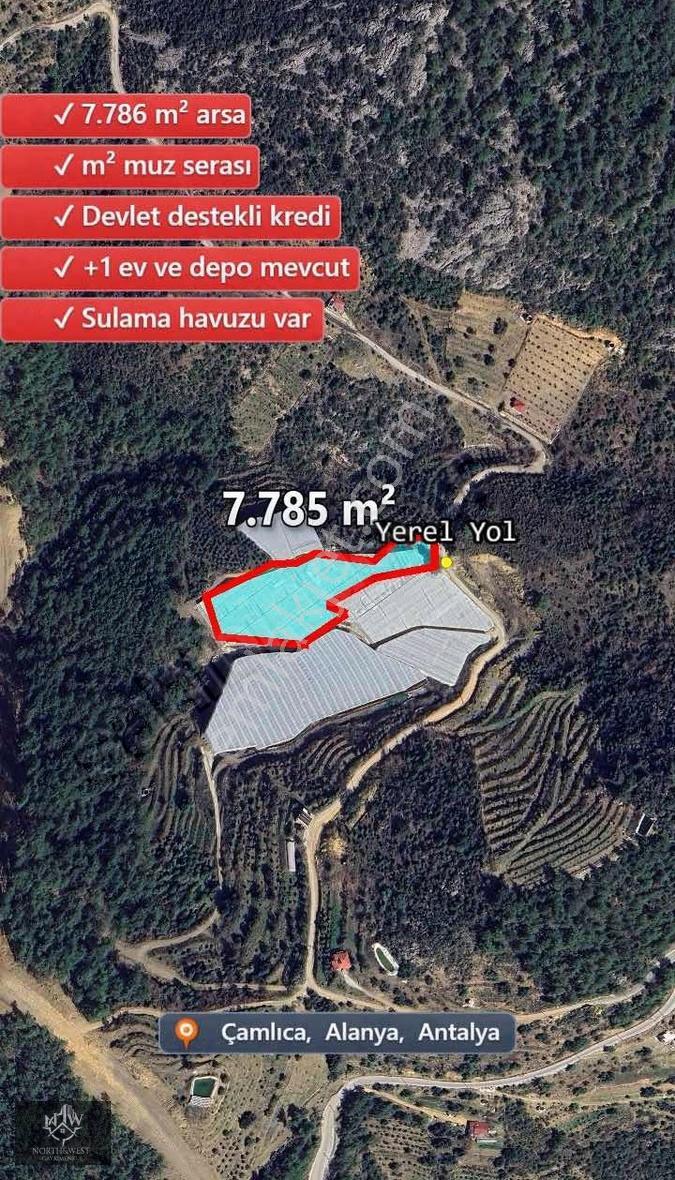 Alanya Çamlıca'da Satılık Muz Serası - Görsel 12