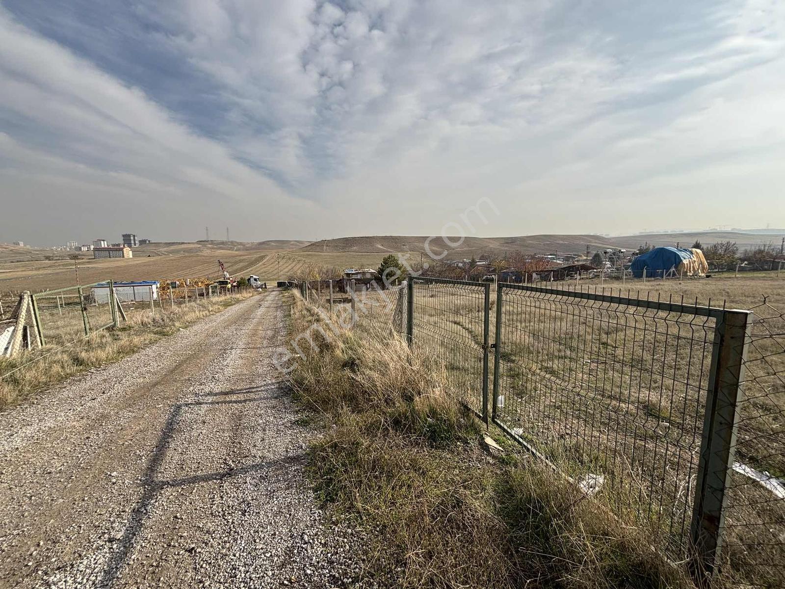 Kerman'dan Yenicimşit'te Kiralık 1000 M2 Tarla - Görsel 17