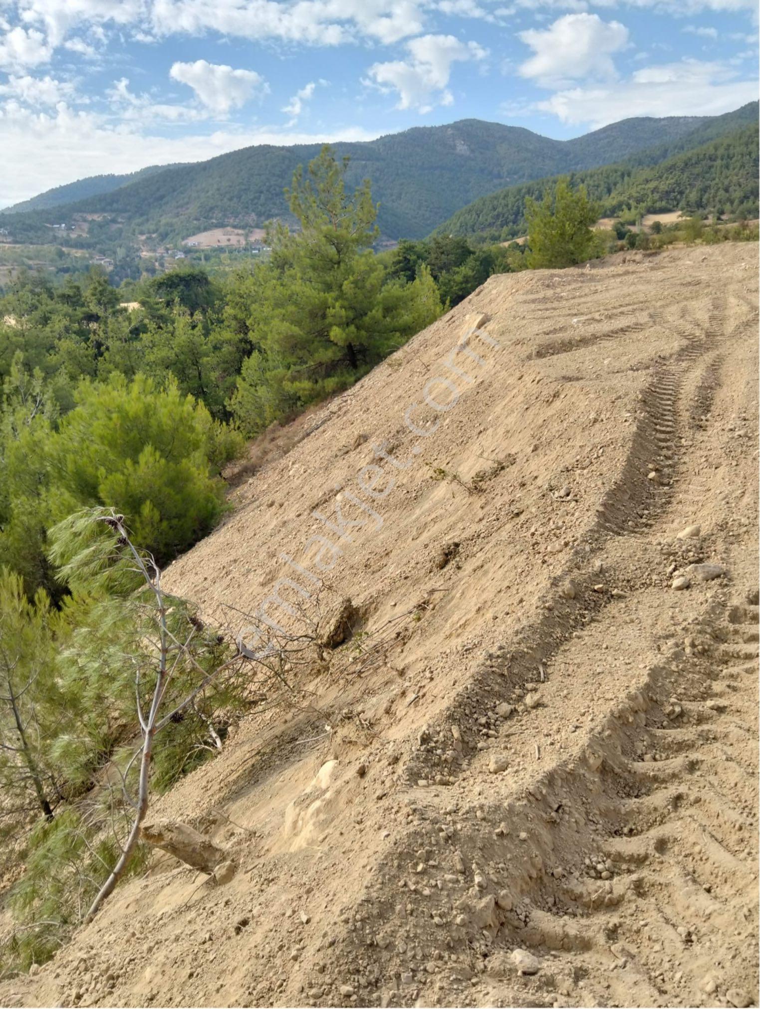 Sakarya Geyve De Yatırımlık Kelepir - Görsel 2