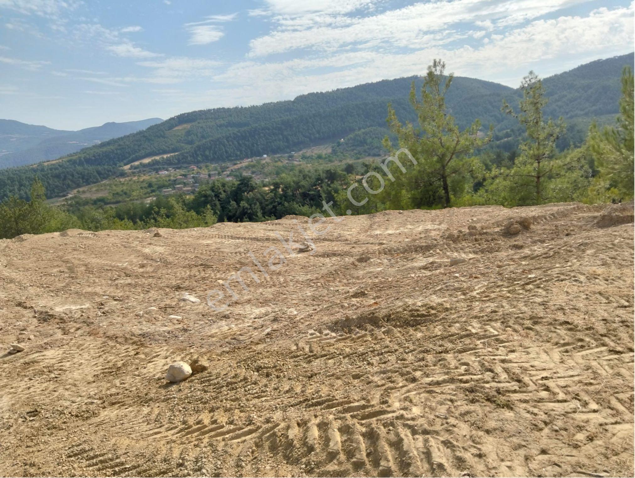 Sakarya Geyve De Yatırımlık Kelepir - Görsel 3