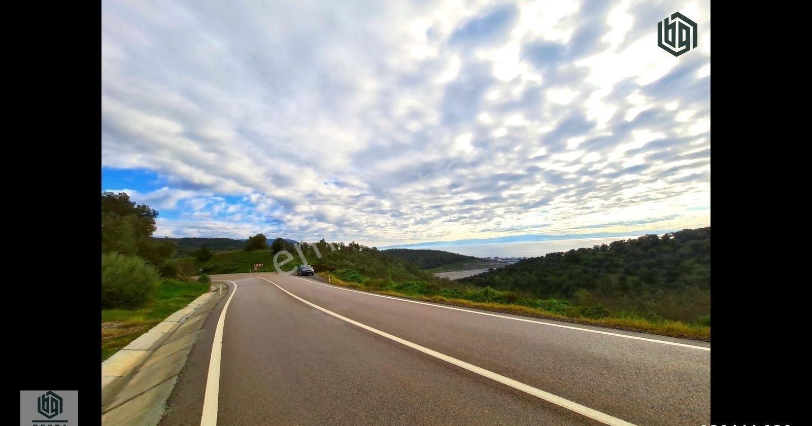 Ayvacık Yeşilyurt Köyünde Yatırımlık Eşşiz Manzaralı Zeytinlik - Görsel 24
