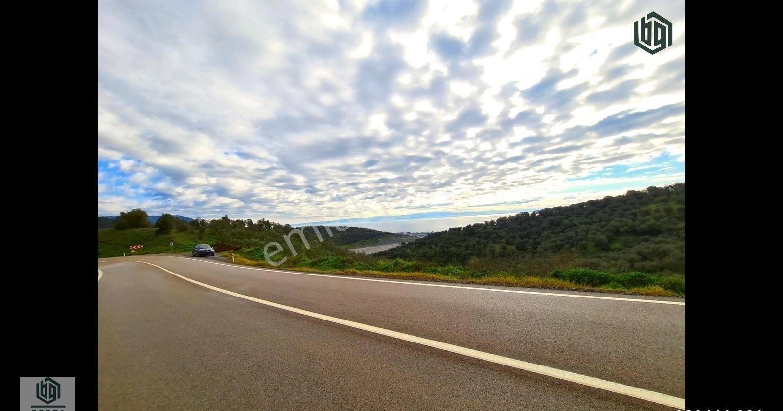 Ayvacık Yeşilyurt Köyünde Yatırımlık Eşşiz Manzaralı Zeytinlik - Görsel 7