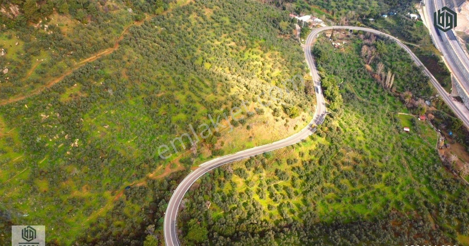 Ayvacık Yeşilyurt Köyünde Yatırımlık Eşşiz Manzaralı Zeytinlik - Görsel 20