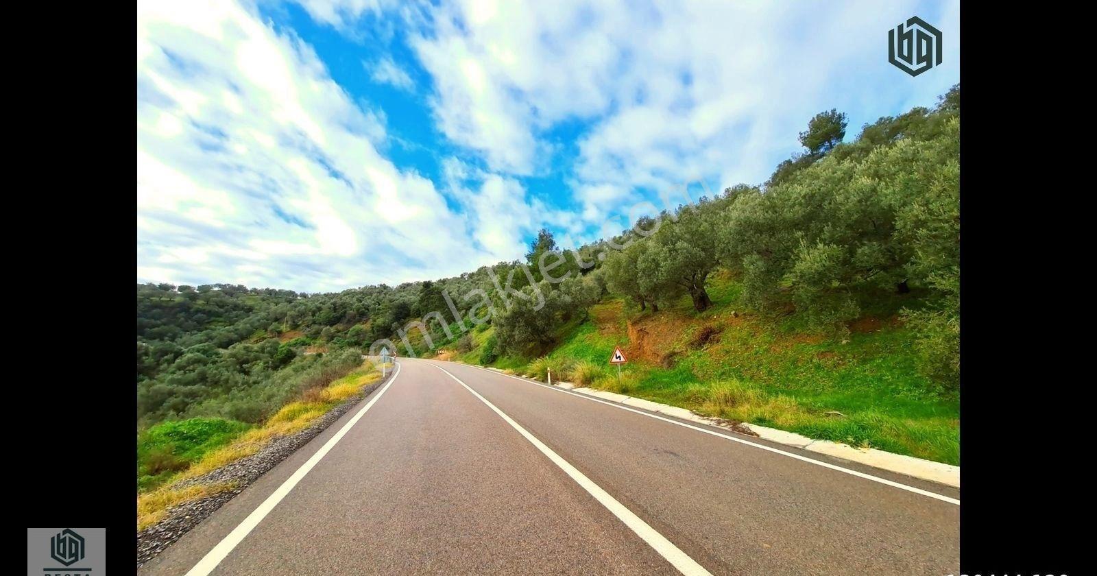 Ayvacık Yeşilyurt Köyünde Yatırımlık Eşşiz Manzaralı Zeytinlik - Görsel 22