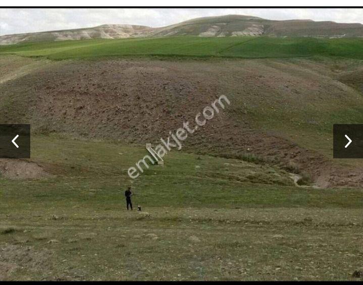 Araç İle Takas Yapılır Sahibinden Tek Tapu Satlik Tarla 2.042