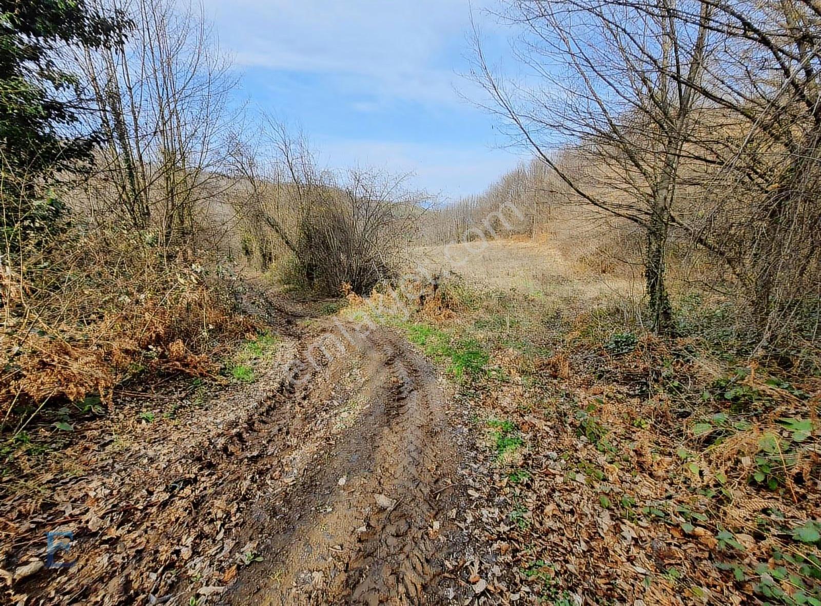Nüzhetiye Değeri Her Gün Artan At Çiftliği Bitişiği Satılık