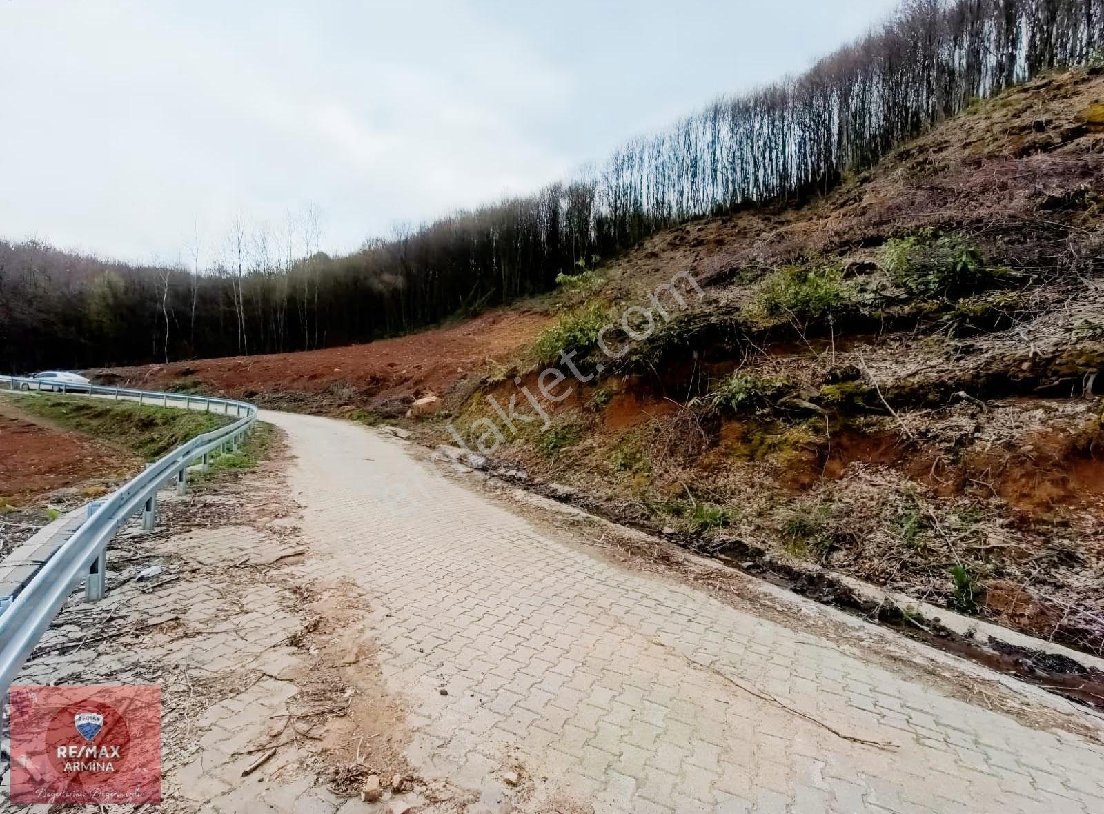 Şelale Yolu Üzerinde | Bungalov & Turizm Projelik 19 Dönüm Arazi - Görsel 17