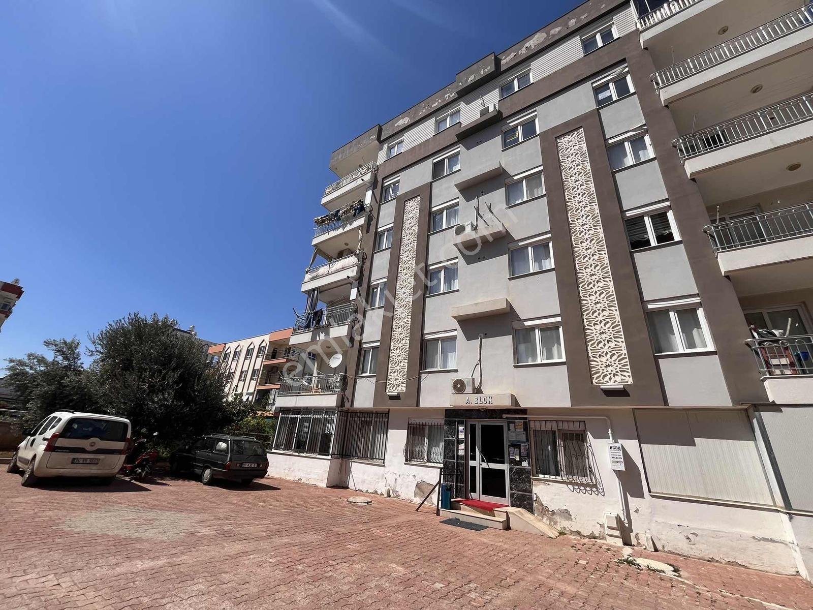 Habıbler Mah Ana Cadde Dibi Site İçi Geniş Yüksek Giriş - Görsel 31