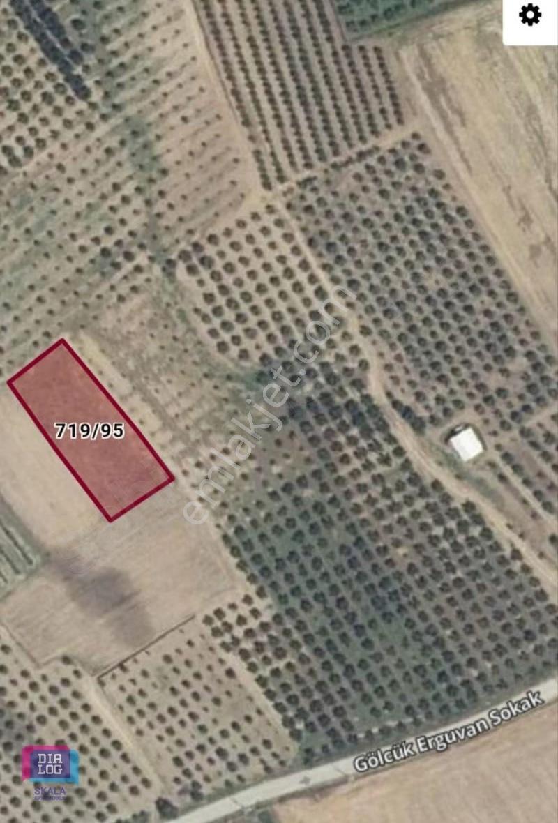 Dialog Skala'dan Kestel Gölcük Köyünde 1258m2 Satılık Tarla - Görsel 3