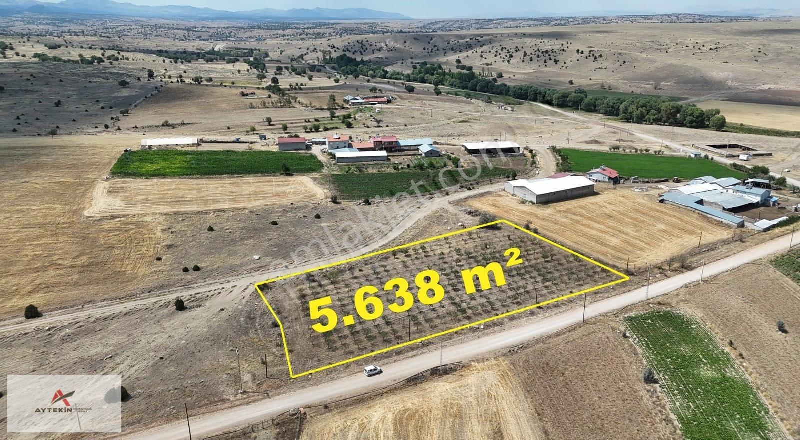 Akören Tülce Mh. 300 Ağaçlı 5.638 M² Müstakil Tapulu Tarla - Görsel 4
