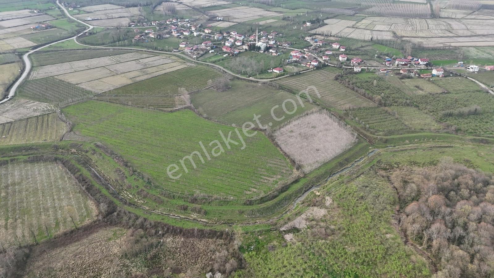 Lerox Uçar'dan Terme Altunlunda Satılık Tarla - Görsel 5