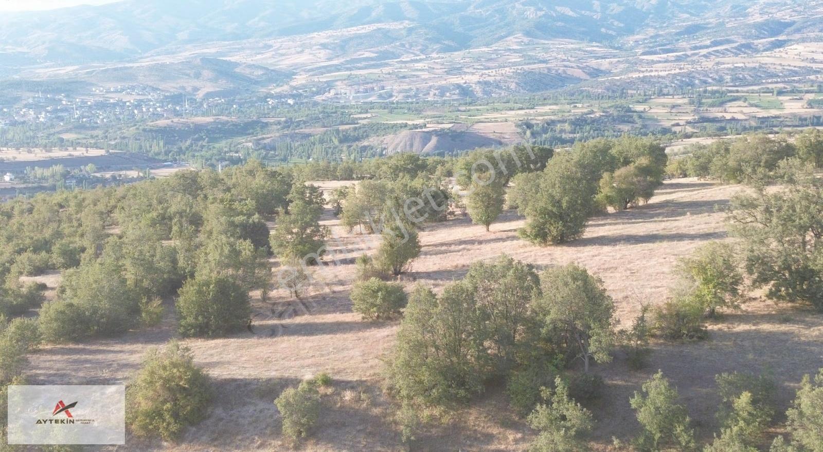 Hamamözü Damladere Mahallesinde 645 M² Müstakil Tapulu Tarla - Görsel 7
