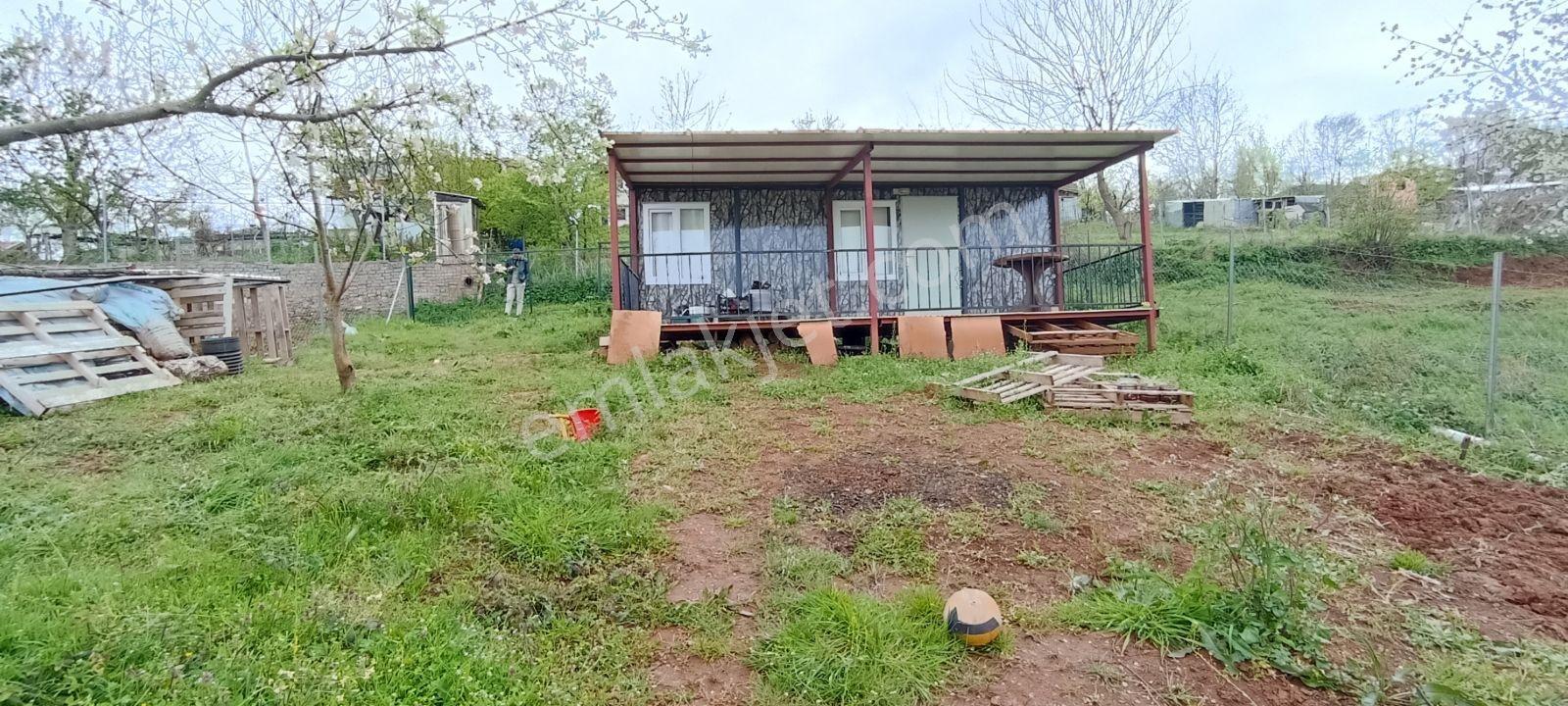 Elma Ağaçlı Ürün Ekili 588 M2 Balkonlu Konteynırlı Hobi Bahçesi