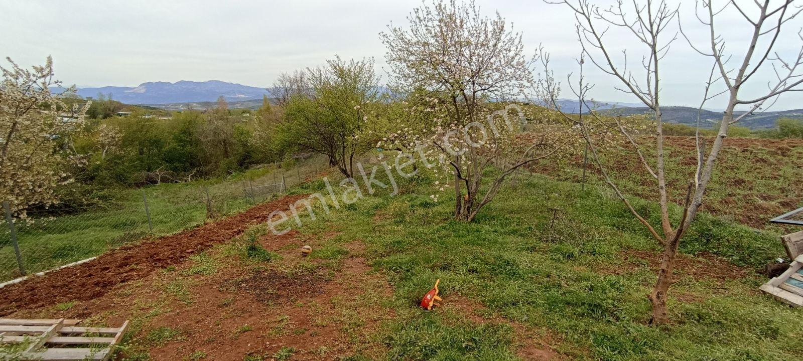 Elma Ağaçlı Ürün Ekili 588 M2 Balkonlu Konteynırlı Hobi Bahçesi - Görsel 10
