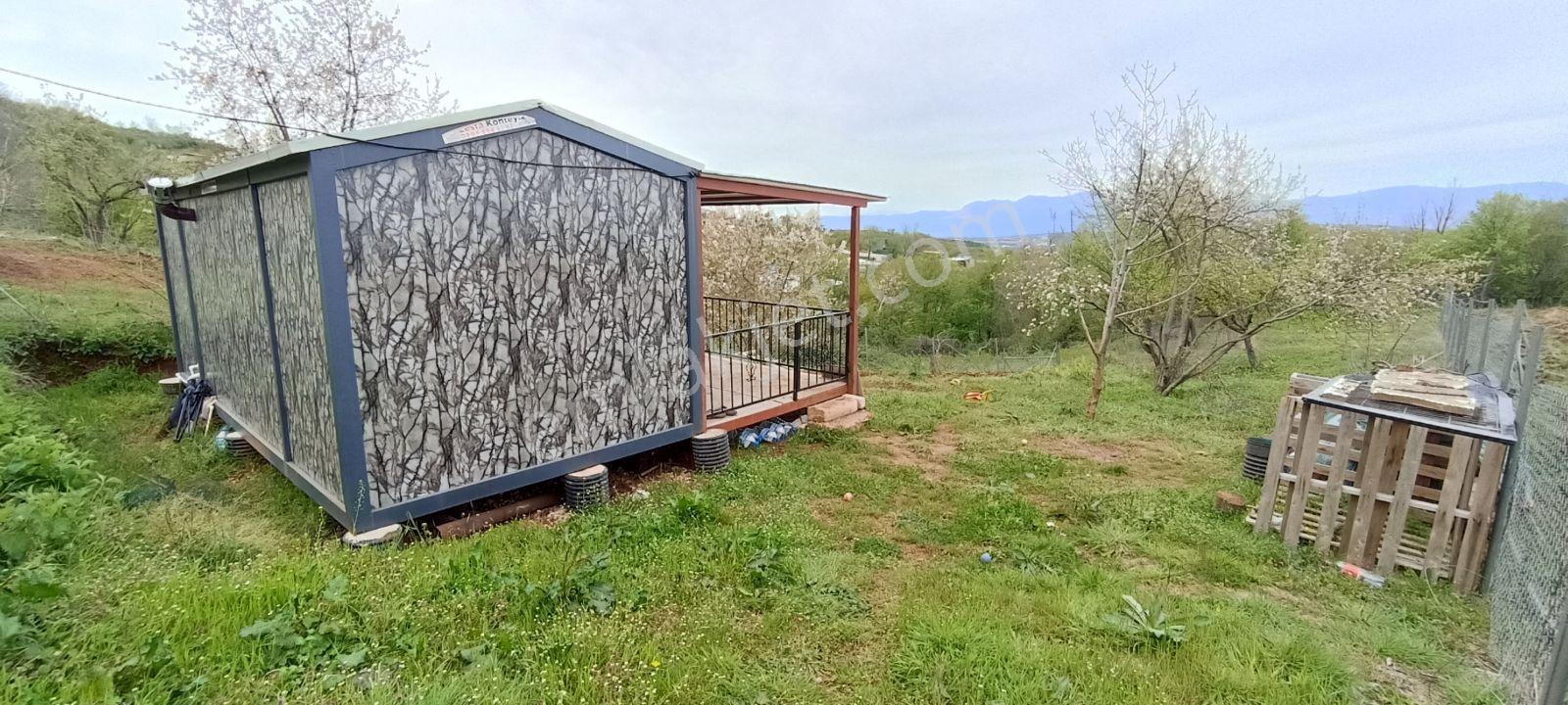 Elma Ağaçlı Ürün Ekili 588 M2 Balkonlu Konteynırlı Hobi Bahçesi - Görsel 17