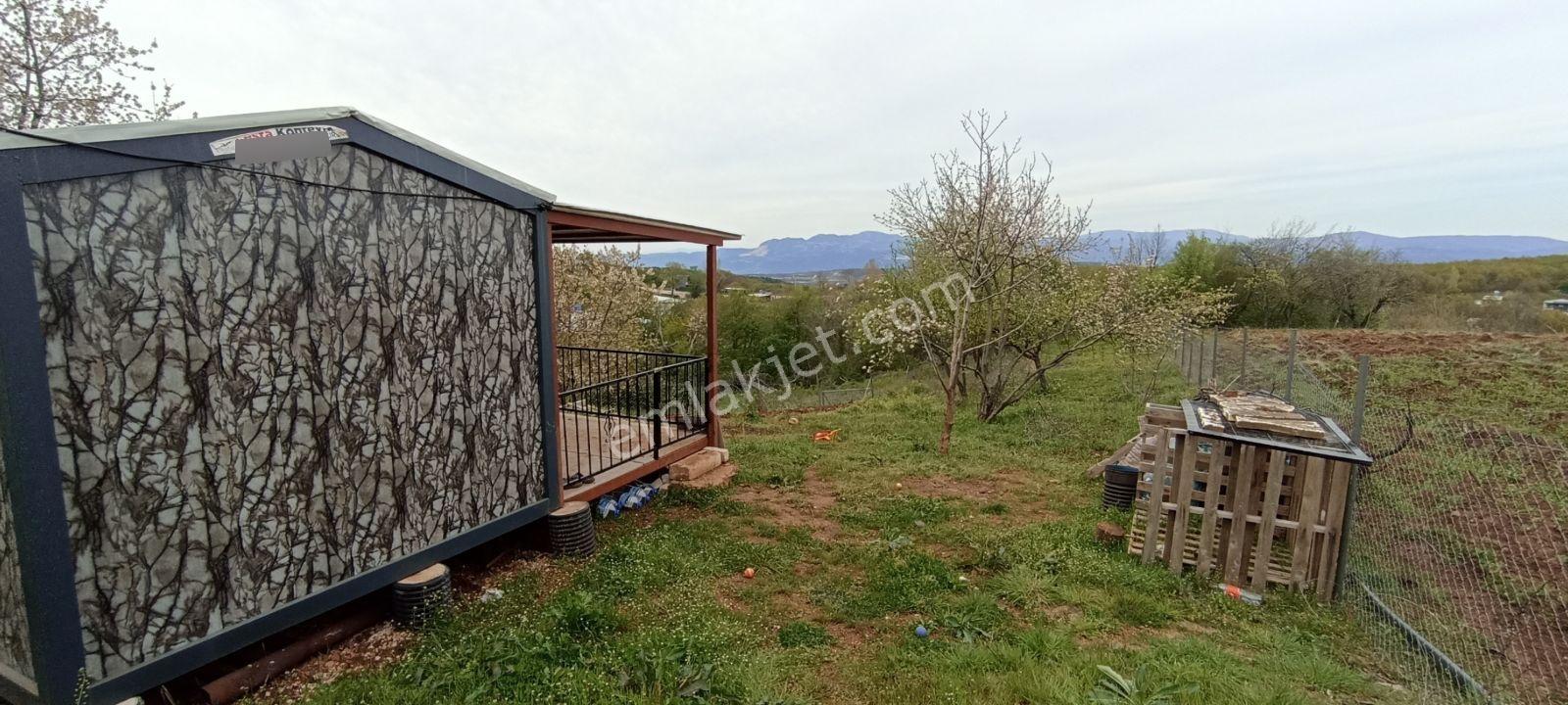 Elma Ağaçlı Ürün Ekili 588 M2 Balkonlu Konteynırlı Hobi Bahçesi - Görsel 28