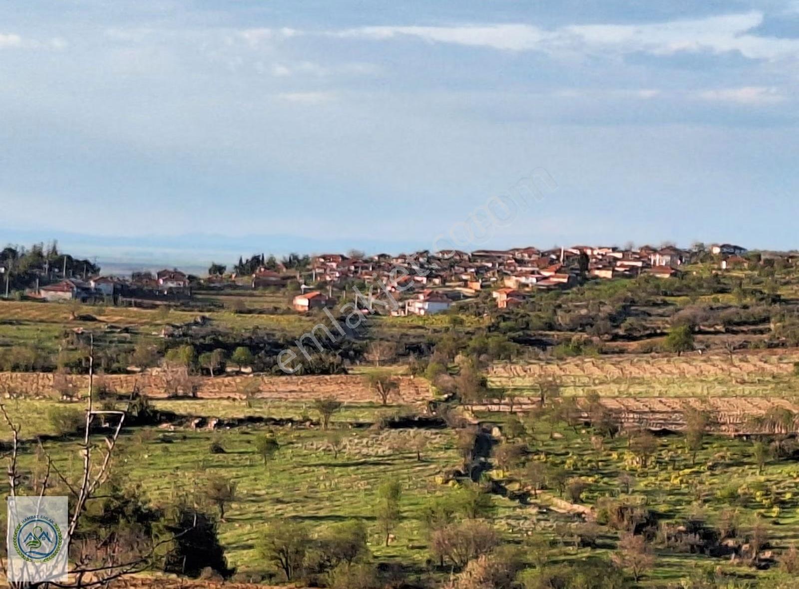 Mahalle Dibinde,piknik Alanı,çeşme Dibinde Üzüm Bağı Çal Ortaköy - Görsel 3