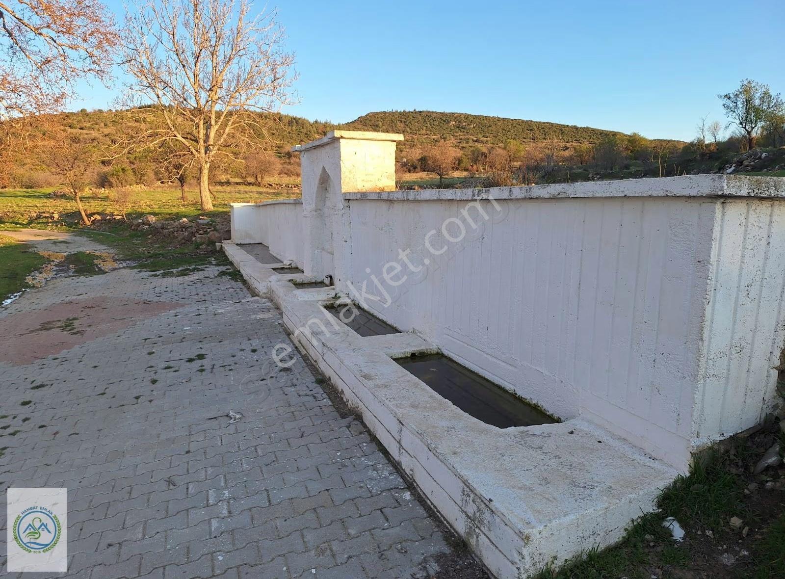 Mahalle Dibinde,piknik Alanı,çeşme Dibinde Üzüm Bağı Çal Ortaköy - Görsel 11
