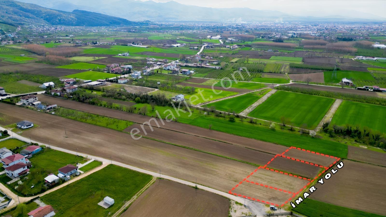 Altındere/gündoğan 1.167 M2 İmarlı Arsa Satılık / Akyazı - Görsel 4