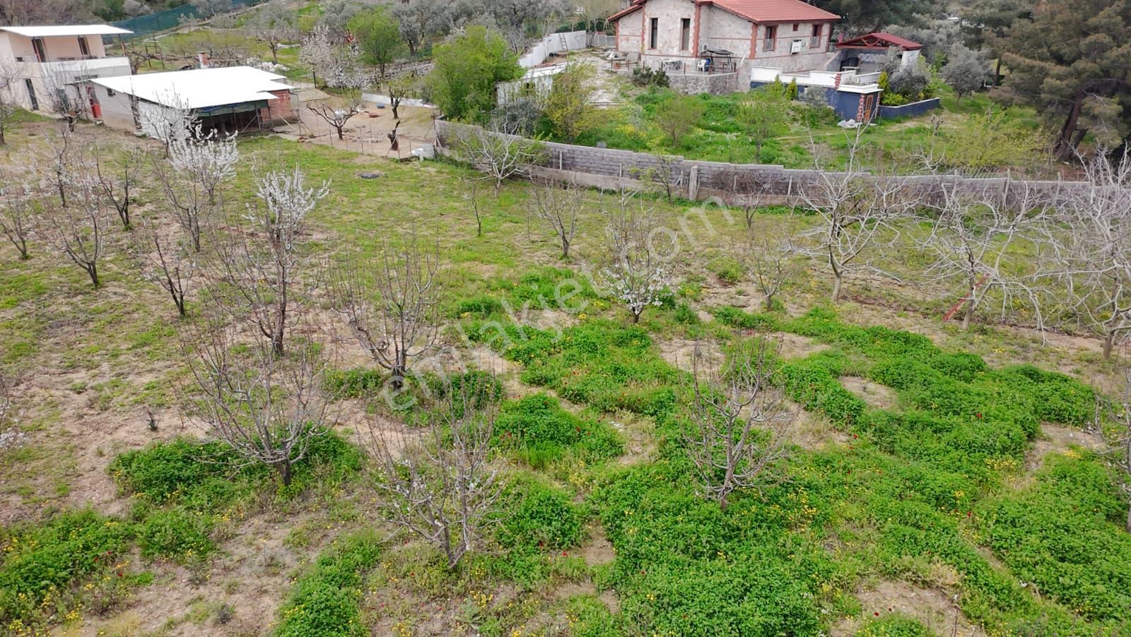 İzmir Kemalpaşa Aşağıkızılca’da 6.704 M² Arsa İçinde Taş Ev, Havuzlu, Bahçeli Yapı Kullanımlı - Görsel 10